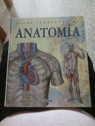 Atlas ilustrado de anatomía (Spanish Edition)