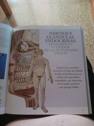 Atlas ilustrado de anatomía (Spanish Edition)