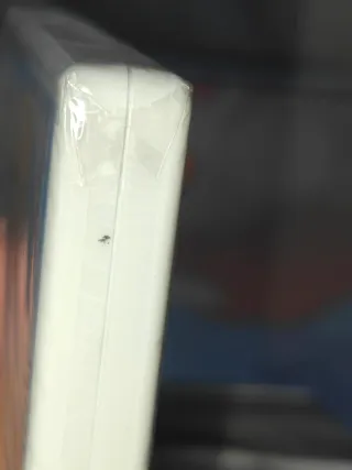 Pokemon Luna PRECINTADO