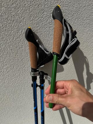Bastoncini Nordic Walking - Power