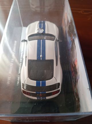Mustang Shelby GT350R (2016) 1:43