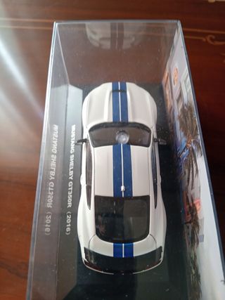 Mustang Shelby GT350R (2016) 1:43
