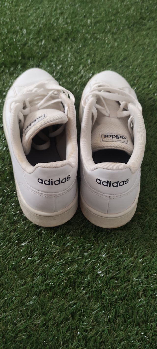 Adidas Sneakers bianche