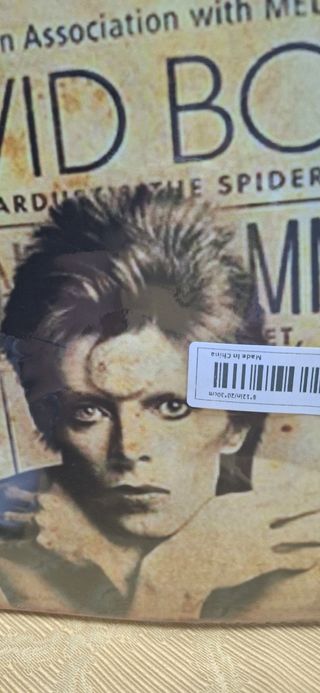 Quadro metallo David Bowie