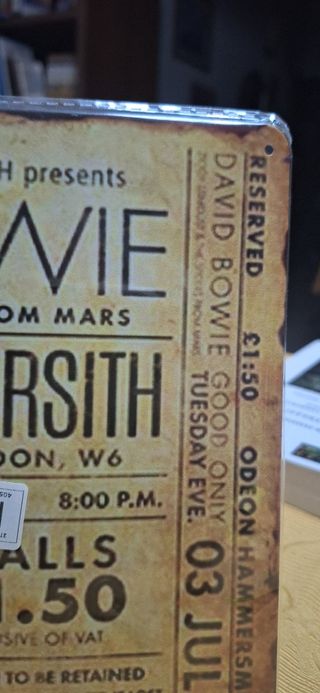 Quadro metallo David Bowie