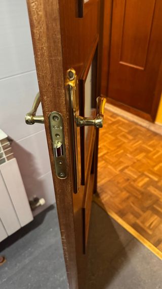 Puerta de madera con 3 cristales color sapelly