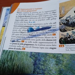 Emozioni visive B1 B2
9788849422504