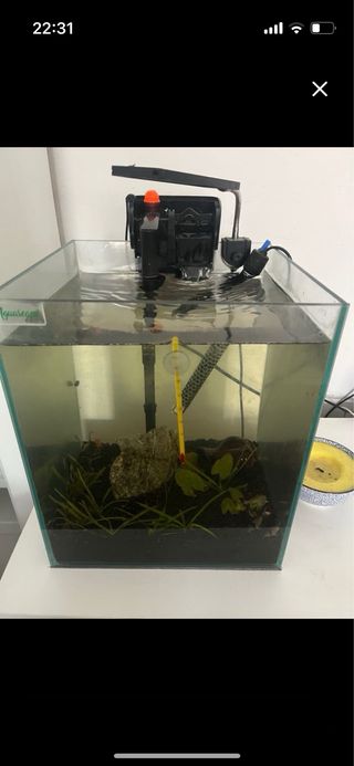 Acuario 30L -pecera- filtro