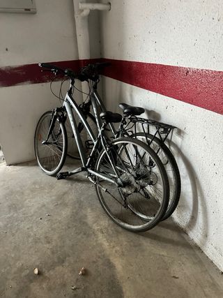 Bicicletas montaña adulto