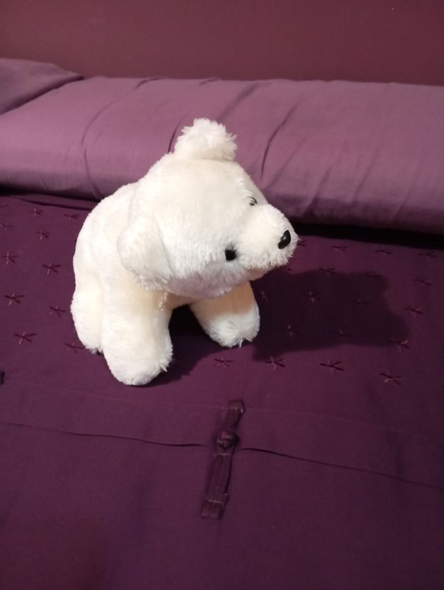 Peluche Oso Polar. Última oferta 7€