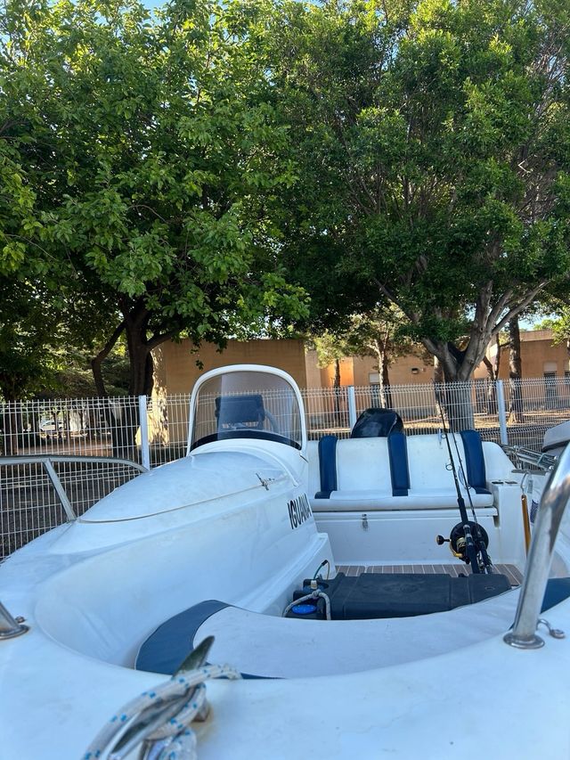 Quicksilver 4,25m - 60cv 4T