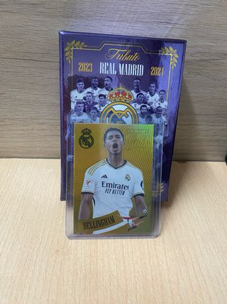 Croma Bellingham Panini Real Madrid