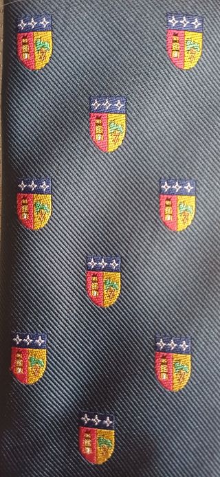 Corbata Altocastillo (Colegio Attendis)