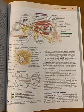 MOORE Fundamentos de anatomía con orientación clín