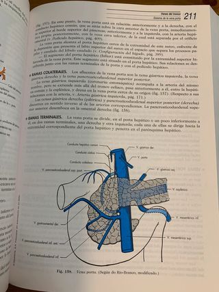Anatomia humana tomó II tronco
