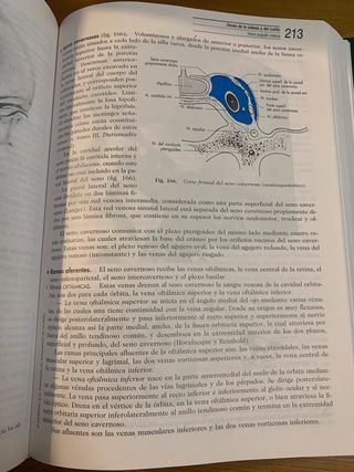 Anatomia humana tomo I. Cabeza y cuello
