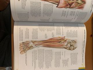 Maater" EVO5 ANATOMÍA ATLAS Y TEXTO con: EMBRIOLOG
