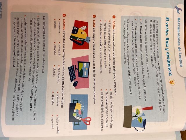 matemáticas y lengua 4