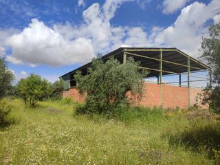 Finca con nave - Cocina & baño