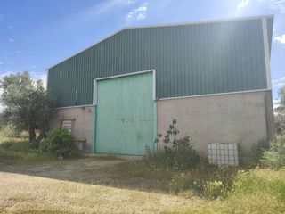 Finca con nave - Cocina & baño