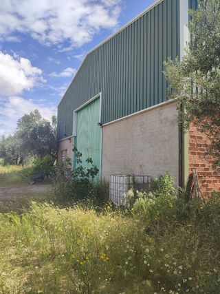 Finca con nave - Cocina & baño