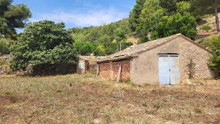 Terreno en venta en Benigánim