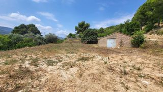 Terreno en venta en Benigánim