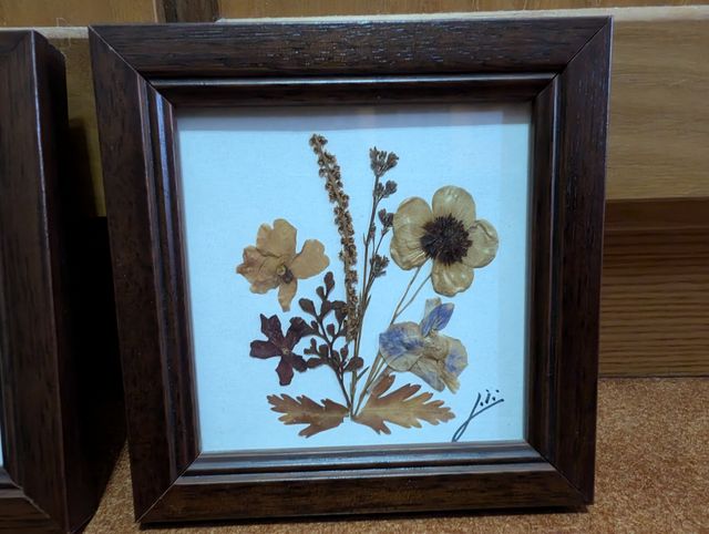 Quadri fiori secchi (4)
