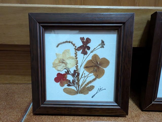 Quadri fiori secchi (4)