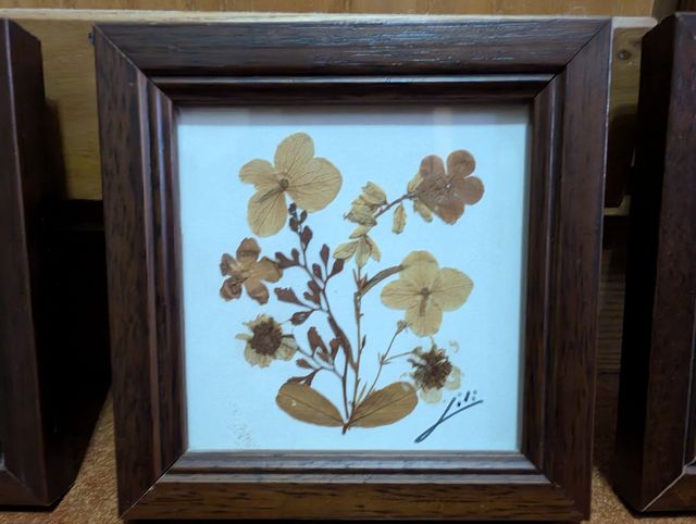 Quadri fiori secchi (4)