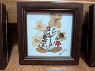 Quadri fiori secchi (4)