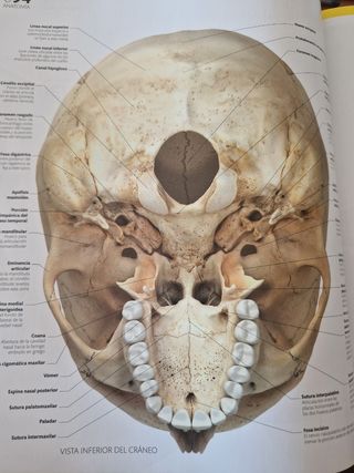El gran libro del cuerpo humano.: La guía visua...