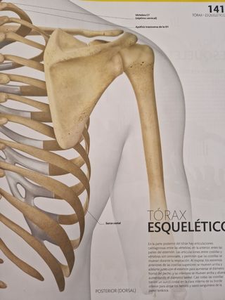 El gran libro del cuerpo humano.: La guía visua...