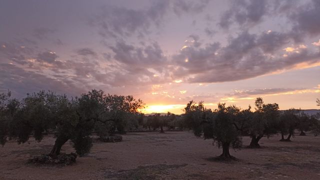 Casa campo 45m2 - 1 hab, baño, cocina