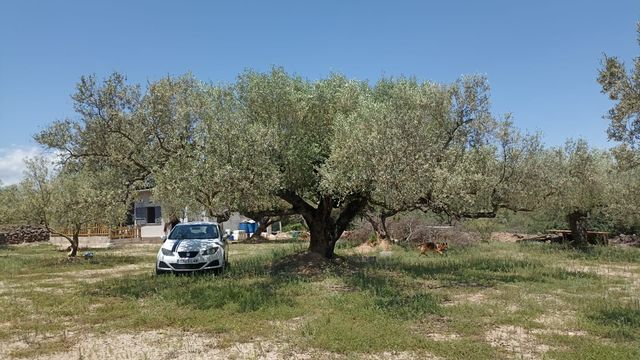 Casa campo 45m2 - 1 hab, baño, cocina