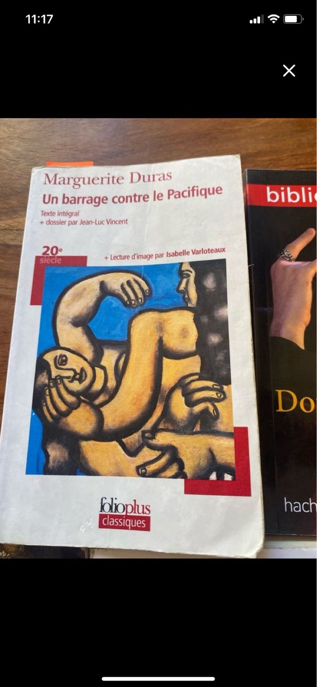 Libros de lectura en frances lyccé