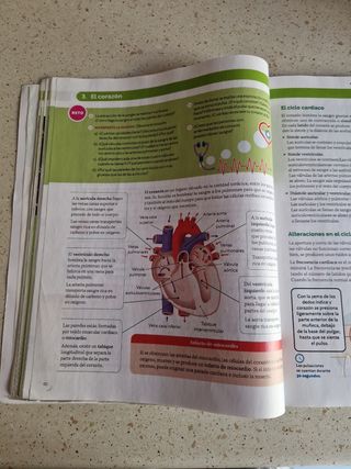 BIOLOGIA Y GEOLOGIA MADRID 3 ESO CONSTRUYENDO M...