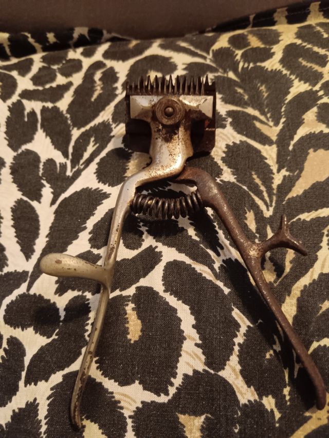 Tagliacapelli vintage