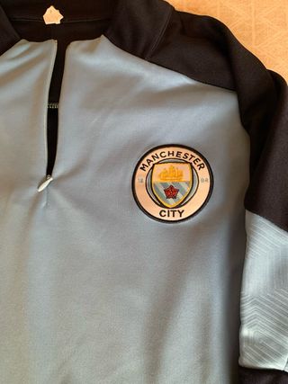 Chándal Puma Manchester City