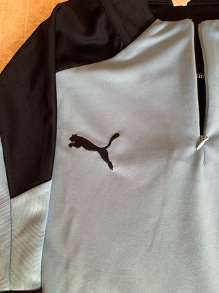Chándal Puma Manchester City