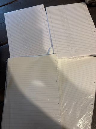 300 Fogli Ricambi Quaderno Anelli a righe