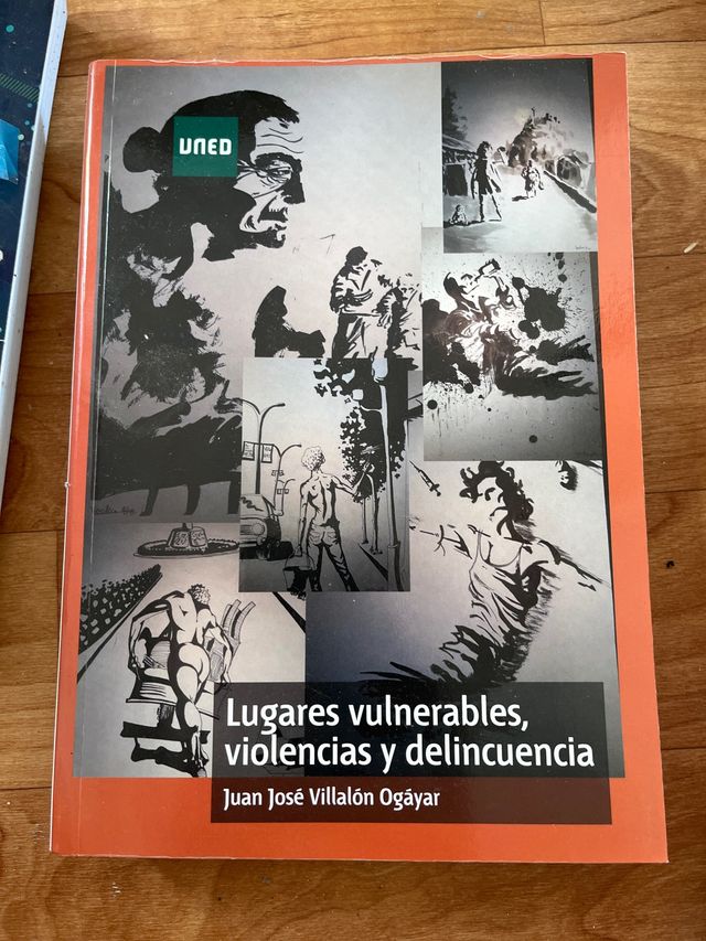 Lugares vulnerables, violencias y delincuencia