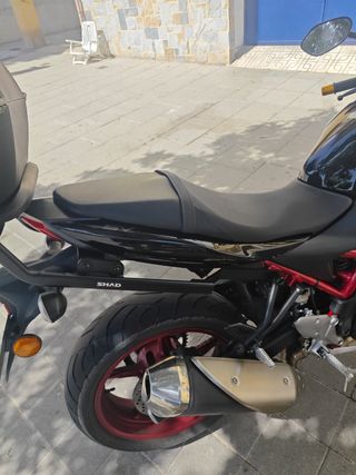 Suzuki SV650 ABS Año 2019