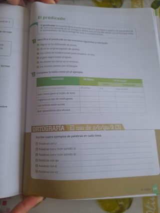 Refuerzo curricular.  Lengua castellana y literatu