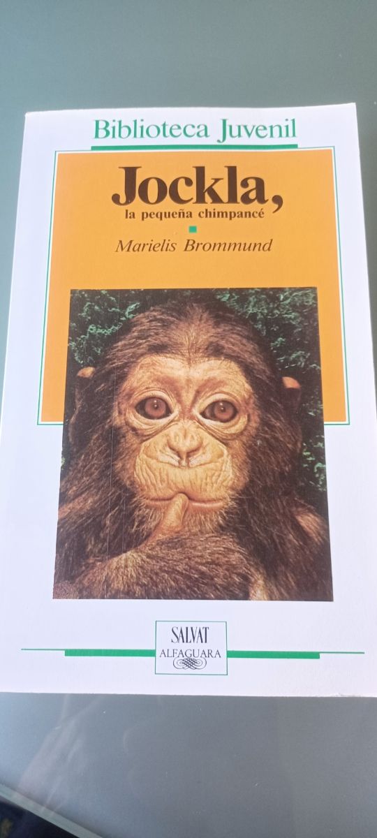 Jockla, la pequeña chimpacé