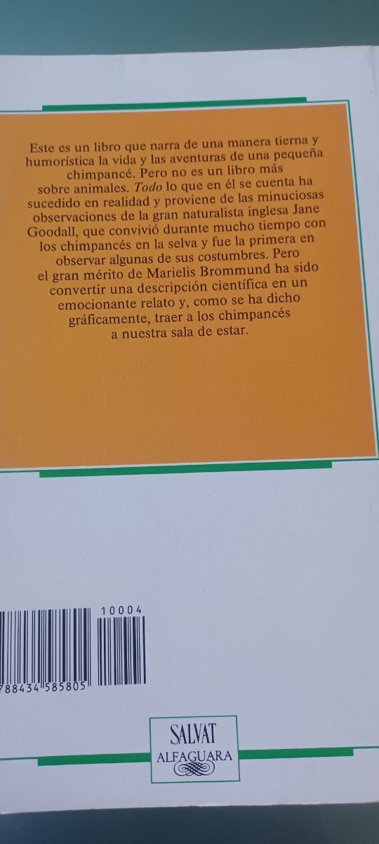 Jockla, la pequeña chimpacé