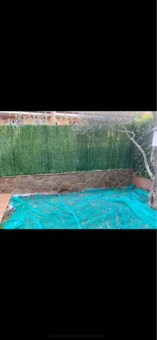 manitas collado villalba