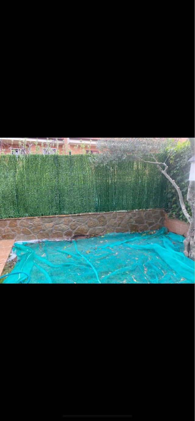 manitas collado villalba