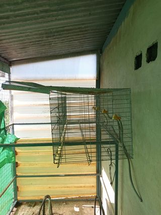 Jaula para gallinas ponedoras