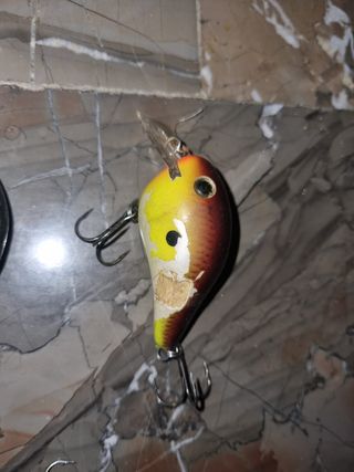 9 Señuelos Rapala DT